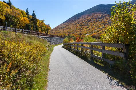 Life Immortalized Photography | Fall Colors Show in Franconia Notch