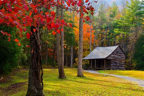 Autumn Serenity: Man-Made Cabin in 4K Ultra HD