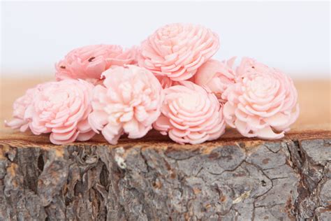Blush Pink Mini Chorki Flowers - Set of 15 , blush mini chorki sola flowers, sola flowers, balsa ...