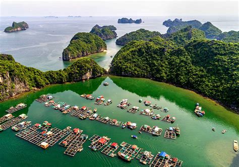 Top 5 best Lan Ha Bay cruises in 2020 - Halong Junk Cruise