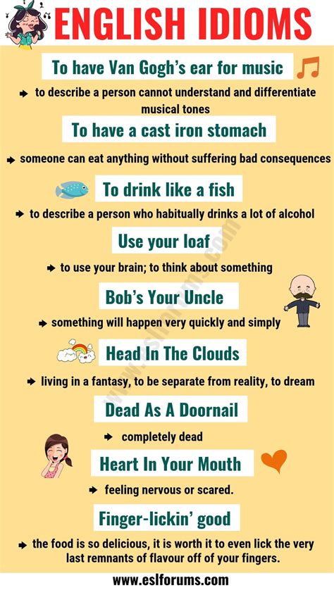 Top 20 Funny Idioms in English You Might Not Know! - ESL Forums | English idioms, English ...