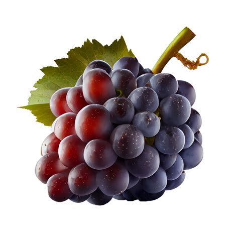 Free Bunch of grapes on png transparent background 22430928 PNG