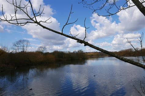 Brent Reservoir Welsh Harp Nature Reserve Hendon | Nature reserve, Cool places to visit, Weekend ...