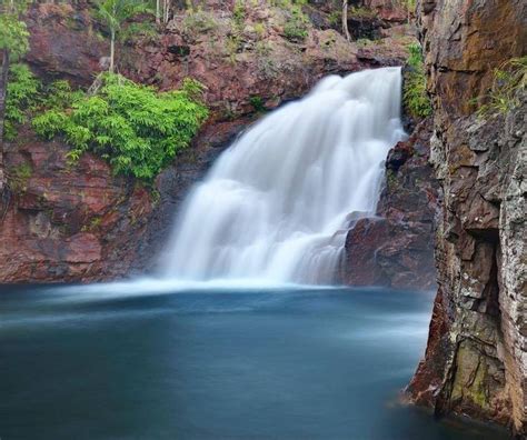 Florence falls Litchfield National Park NORTHERN TERRITORY AU ...