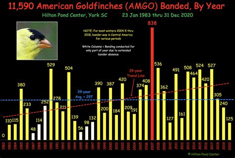 2020 BIRD BANDING SUMMARY: GOOD NUMBERS, GREAT DIVERSITY