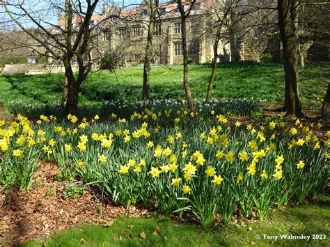 Mount Grace Priory | This Carthusian Priory is now in the ca… | Flickr