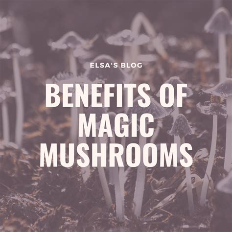 Benefits of Magic Mushrooms - Shroombudz