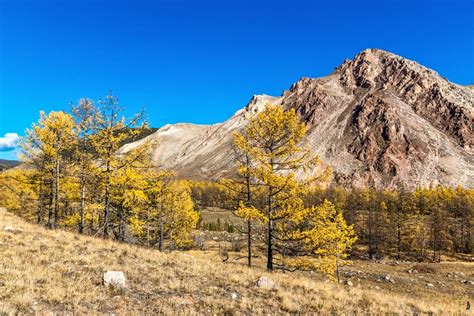 Baikal Mountains: Why the Place Is Worth Visiting