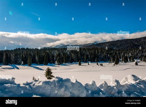 Igman Stock Photos & Igman Stock Images - Alamy