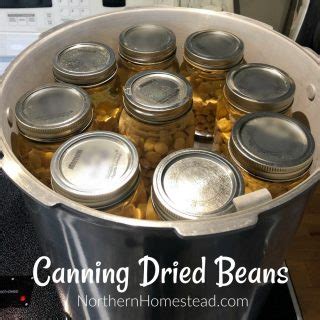 Pressure Canning Dried Beans Recipe - Northern Homestead