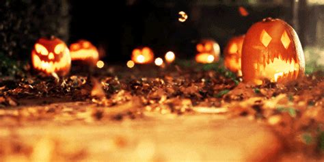 Donald Duck Halloween Pumpkin Scare GIFs - Find & Share on GIPHY