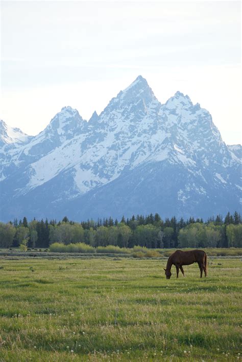 West Coast Road Trip Day Six: Yellowstone National Park WY June 1st, 2021 - Road Trip Warriors