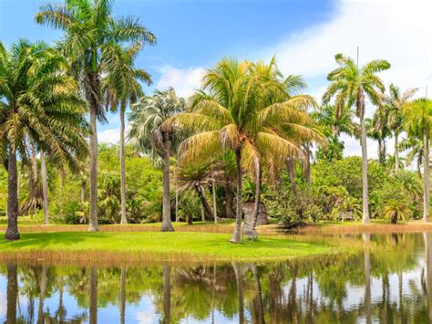 Fairchild Tropical Botanic Garden - MiaRentals Blog