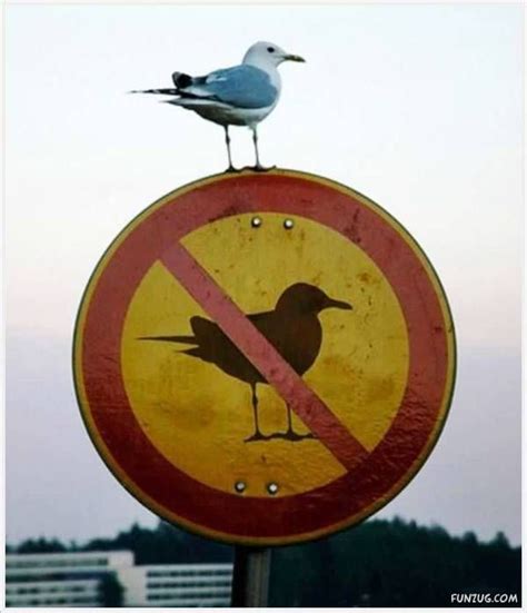 Colours of Life...: Funny Animals Signs At Various Places