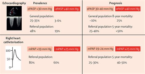 árabe podar azafata vascular resistance calculation probable Acelerar Respectivamente