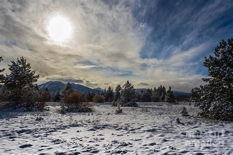 Christmas Meadow Photograph by Mitch Shindelbower - Fine Art America