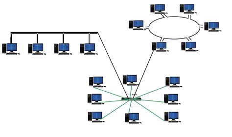 What are the types of Network Topology?