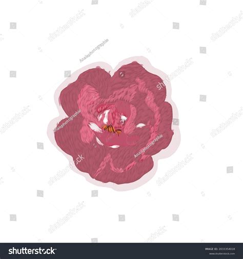 Digital Drawing Flower Stock Vector (Royalty Free) 2033354018 | Shutterstock