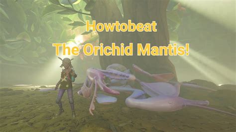 "Grounded" Orchid Mantis "Boss fight" (almost choked) - YouTube