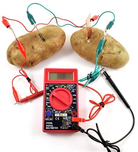 Potato Battery: How to Turn Produce into Veggie Power! | Science fair projects, Science projects ...