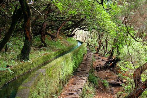 Levada das 25 Fontes – Madeira Selection Hotels