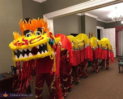 Real Chinese Dragon Costume