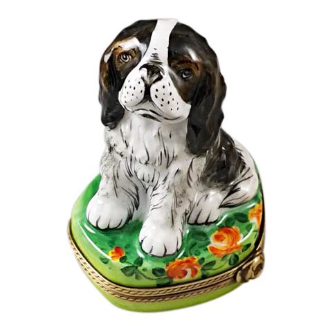 Tri Color King Charles Spaniel – Rochard