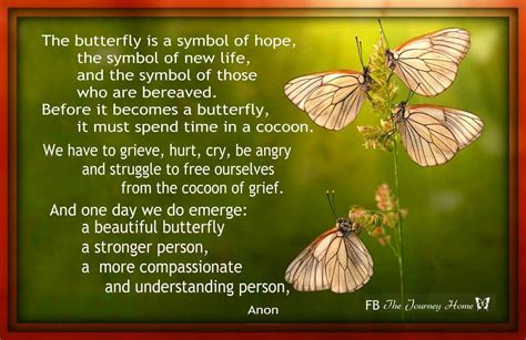 The butterfly | Hope symbol, Butterfly quotes, Grief