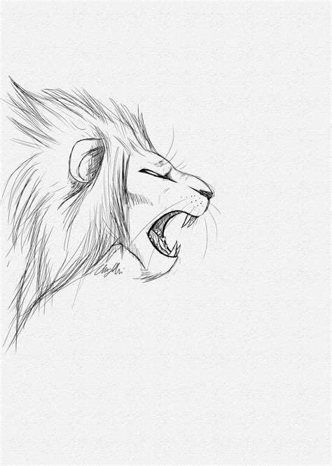 Lion Roar Sketch by OneXWarrior on DeviantArt