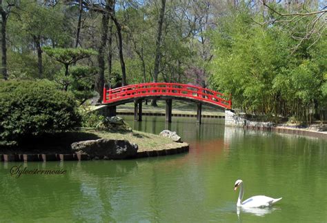 Pictorial Tour of the Memphis Botanic Gardens - House of Sylvestermouse