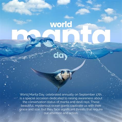 Copy of World Manta Day Instagram Post | PosterMyWall