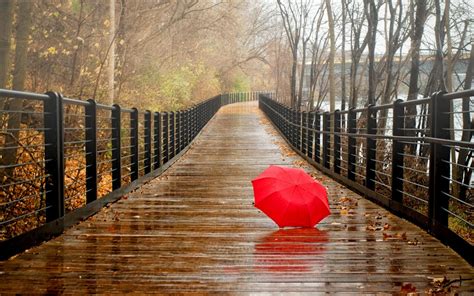 Red umbrella on the bridge - Rainy day Wallpaper Download 2560x1600