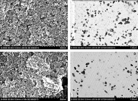 Electron micrograph of nanoparticles; (A) and (C) Scanning Electron ...