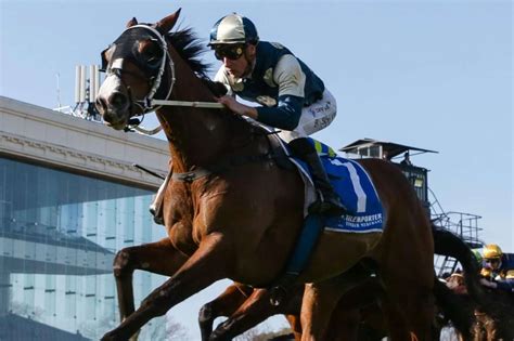 'He's clearly the one to beat': Big call ahead of Caulfield Cup