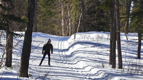 Nordic Ski Club highlights off-season upgrades as snowfall remains sparse | paNOW