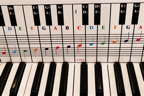 Buy Piano and Keyboard Note Chart, Use Behind the Keys, Ideal Visual Tool for Beginners Learning ...