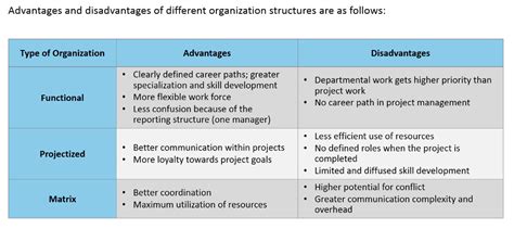 Organizational Structures, Advantages and Disadvantages