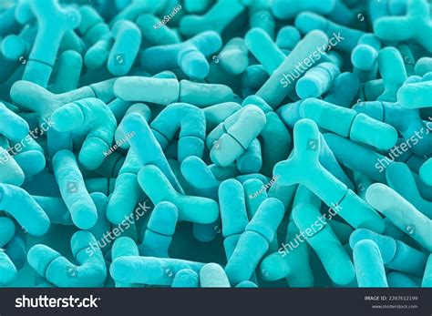 Blue Bifidobacterium Lactobacillus Microbiome Under Microscope Stock ...