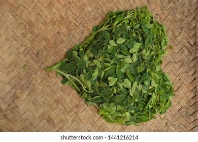 Well Decorated Moringo Leaves Moringa Oleifera Stock Photo (Edit Now) 1441213016