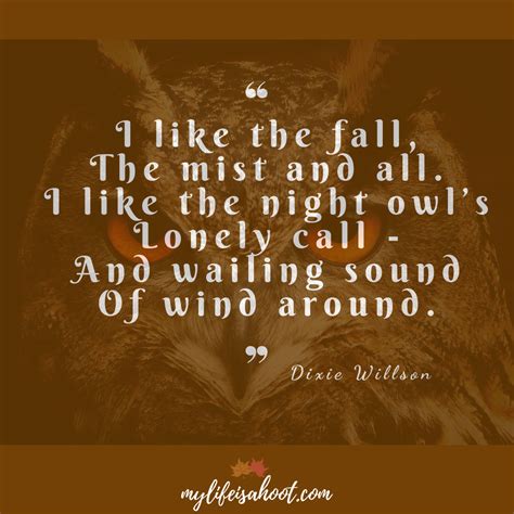 Fall/Autumn Night Owl Quote Poem Owl Face Eyes Bird of Prey | Night owl quotes, Owl quotes ...