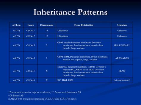 PPT - Alport Syndrome PowerPoint Presentation, free download - ID:1242794