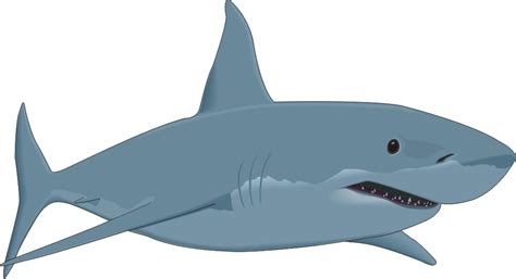 Free Cute Shark Cliparts, Download Free Cute Shark Cliparts png images, Free ClipArts on Clipart ...