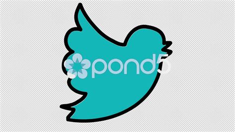 Twitter Icon Color at Vectorified.com | Collection of Twitter Icon ...