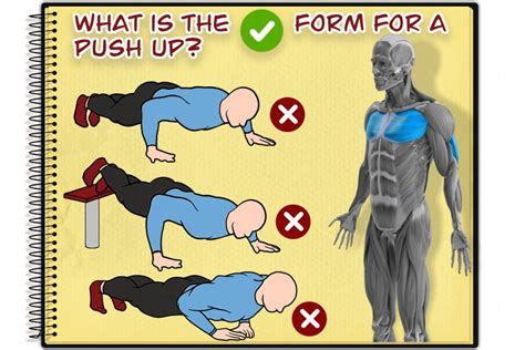 Push Ups Proper Form In 4 Simple Steps - Graduate Fitness