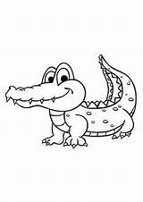 Coloring Pages  Cartoon Alligator sketch template