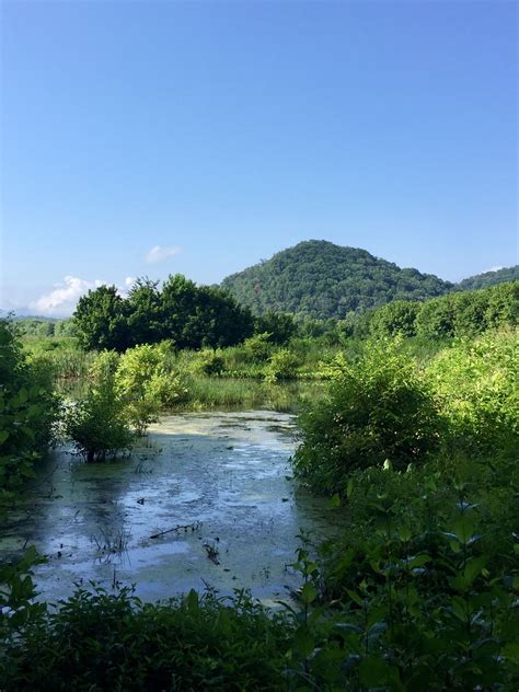 Seven Islands State Birding Park | United states travel, Favorite ...