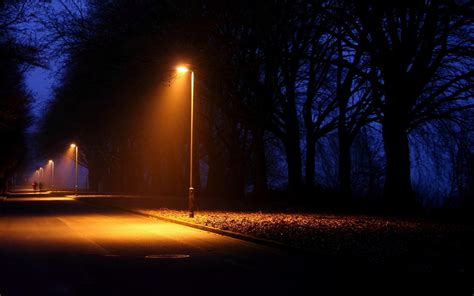 photography, Nature, Landscape, Night, Plants, Trees, Lights, Road Wallpapers HD / Desktop and ...