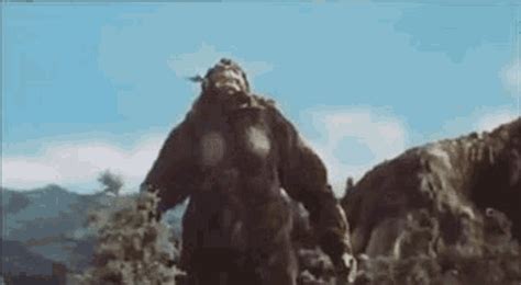 Godzilla King Kong Vs Godzilla GIF - Godzilla King Kong Vs Godzilla King Kong - Descubrir y ...