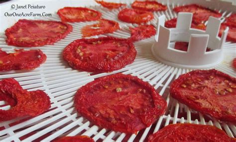 6 Tips for Drying Tomatoes