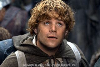 Samwise Gamgee (Character) - Giant Bomb